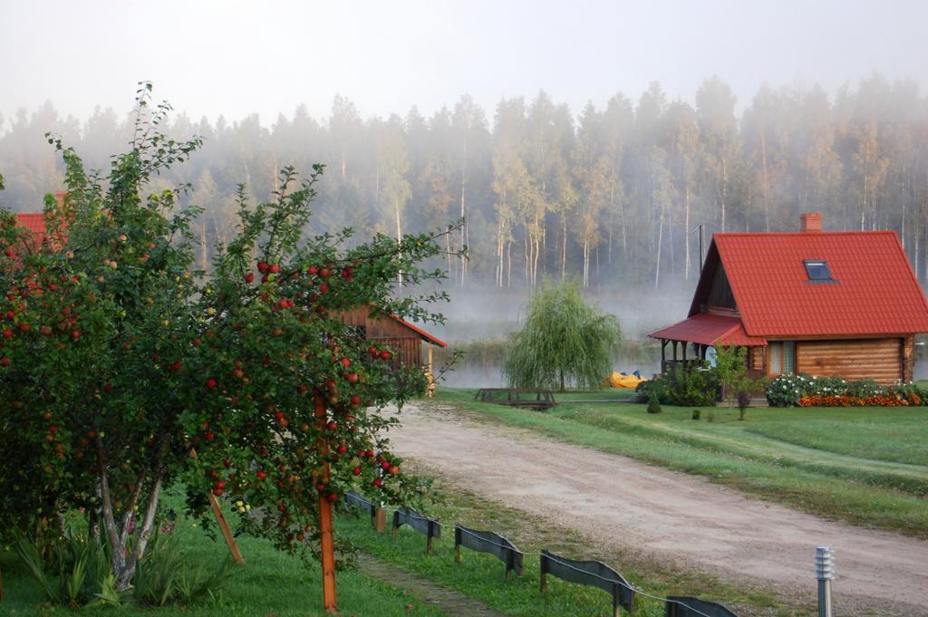 Viesu Nams Rukisi Hotel Rugaji Exterior photo
